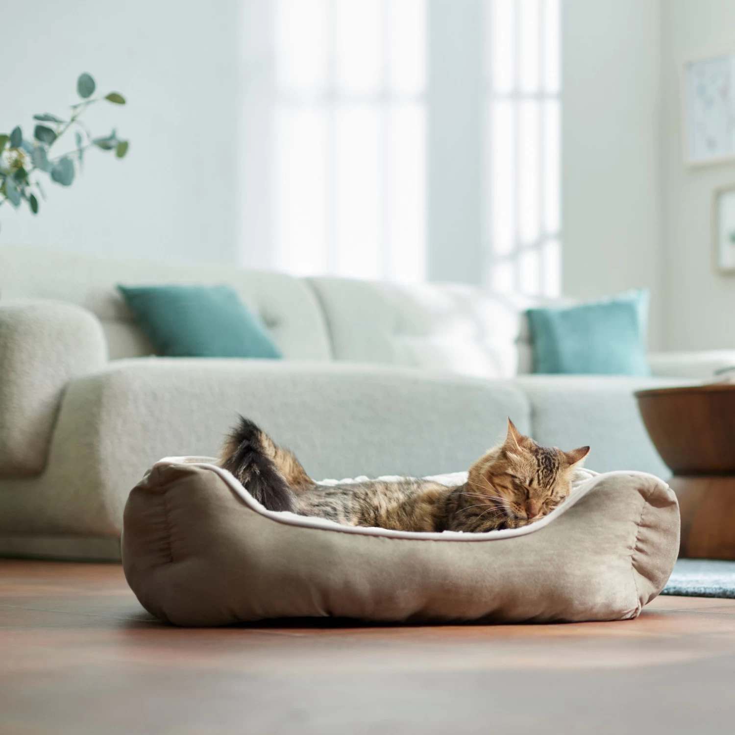 Frisco Rectangular Bolster Cat & Dog Bed - Image 3