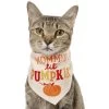 Frisco Mommy's Lil Pumpkin Dog & Cat Bandana