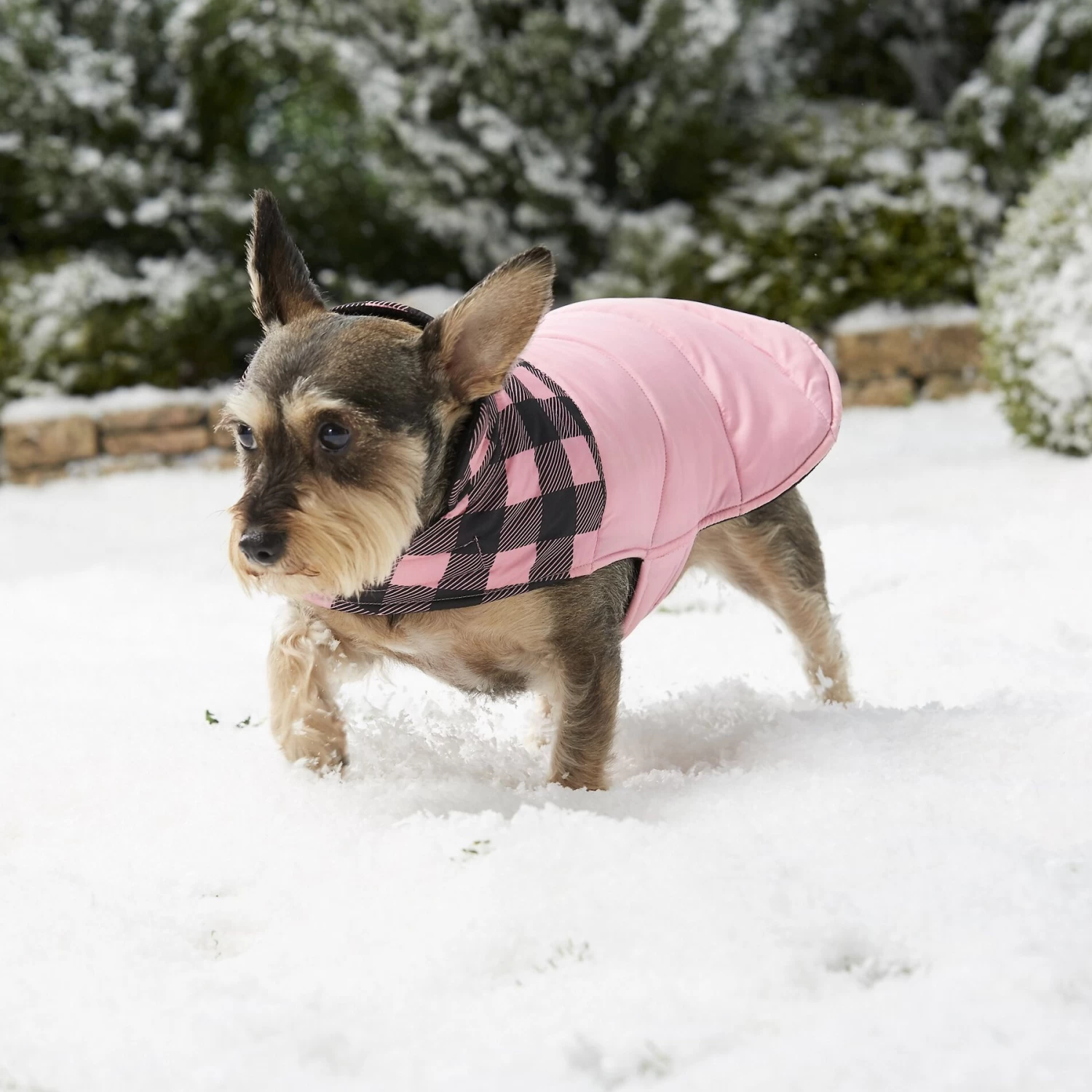 Frisco Mediumweight Boulder Plaid Insulated Dog & Cat Puffer Coat - Image 7