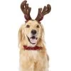 Frisco Holiday Antler Headband & Bell Collar Dog & Cat Costume