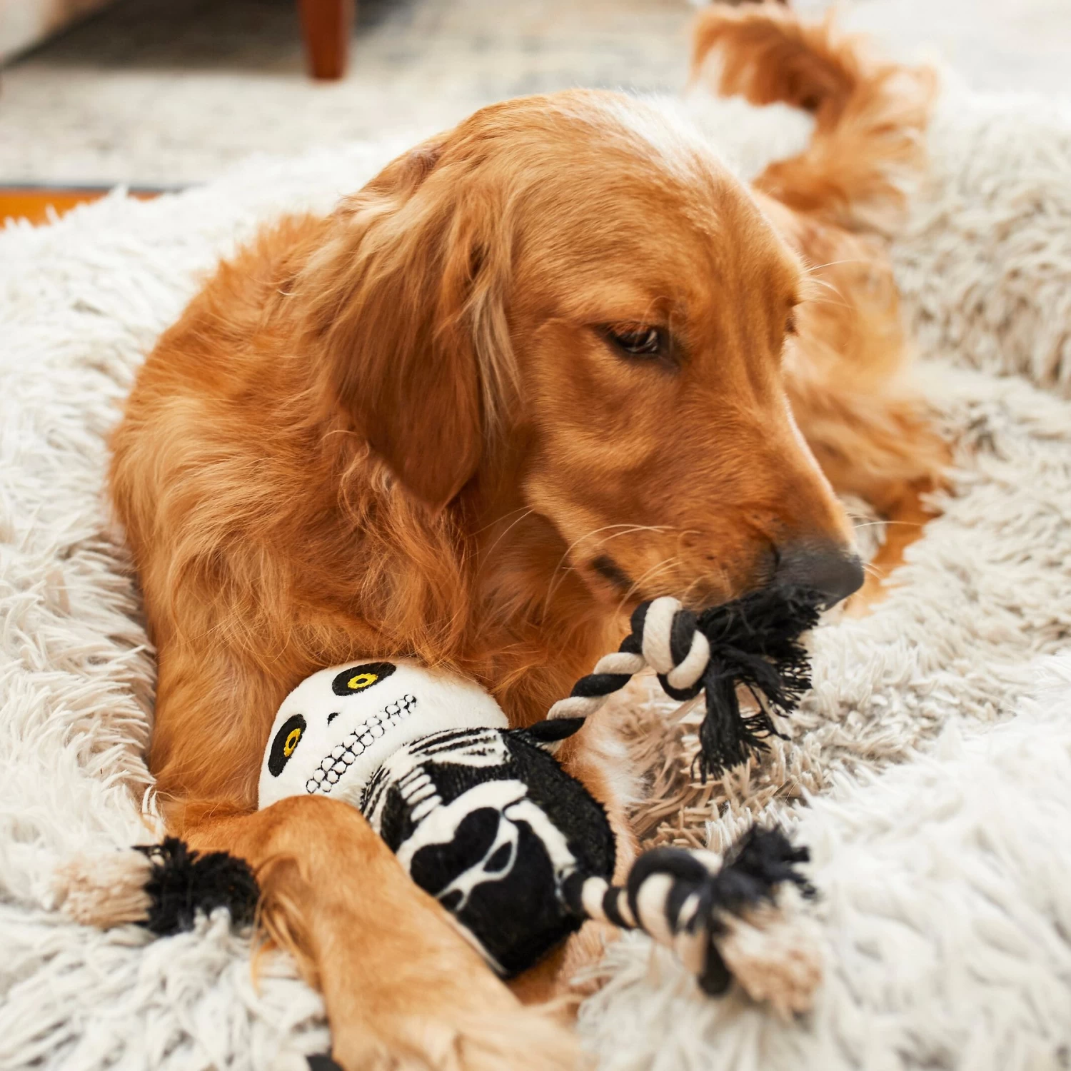 Frisco Halloween Skeleton Plush With Rope Squeaky Dog Toy - Image 3