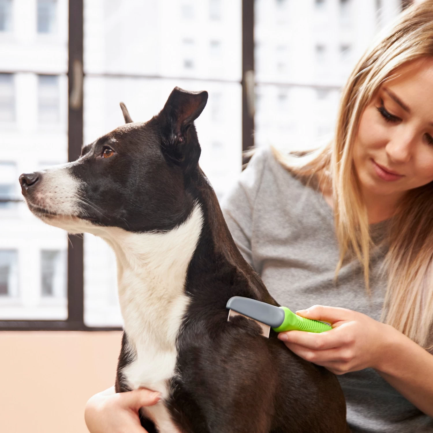 Frisco Single-Row Flea Comb For Cats & Dogs - Image 5