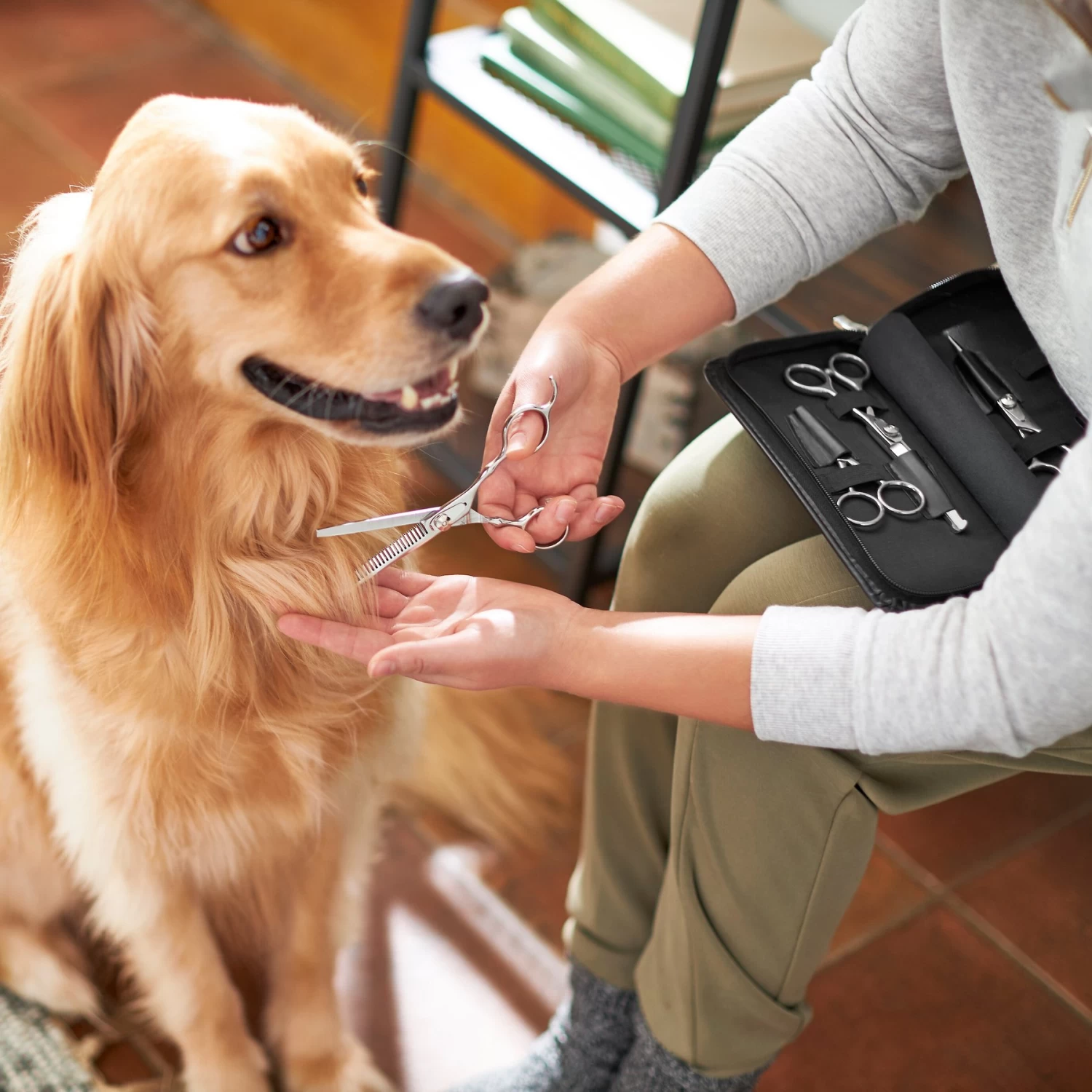 Frisco Shears Kit For Cats And Dogs - Image 4