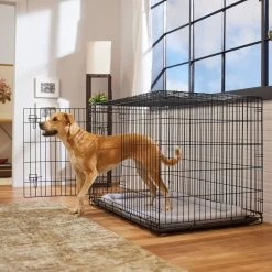 Frisco Heavy Duty Fold & Carry Double Door Collapsible Wire Dog Crate & Mat Kit