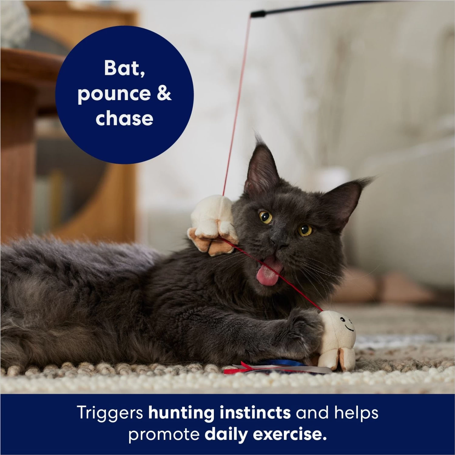 Frisco Zoomies & Chill Popcorn Teaser Wand Cat Toy With Catnip - Image 4