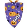 Frisco Halloween Pumpkins Personalized Dog & Cat Bandana