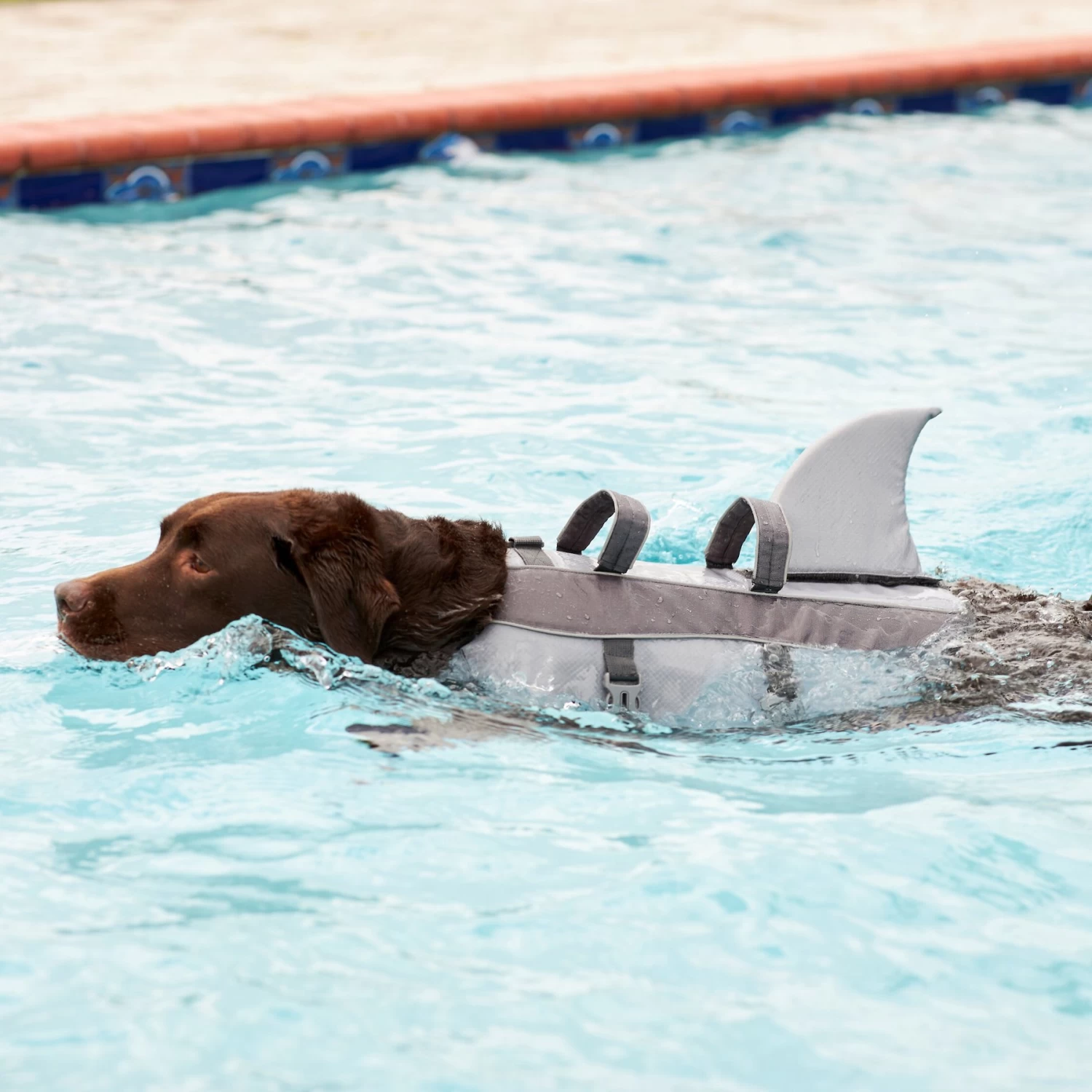 Frisco Shark Dog Life Jacket - Image 9