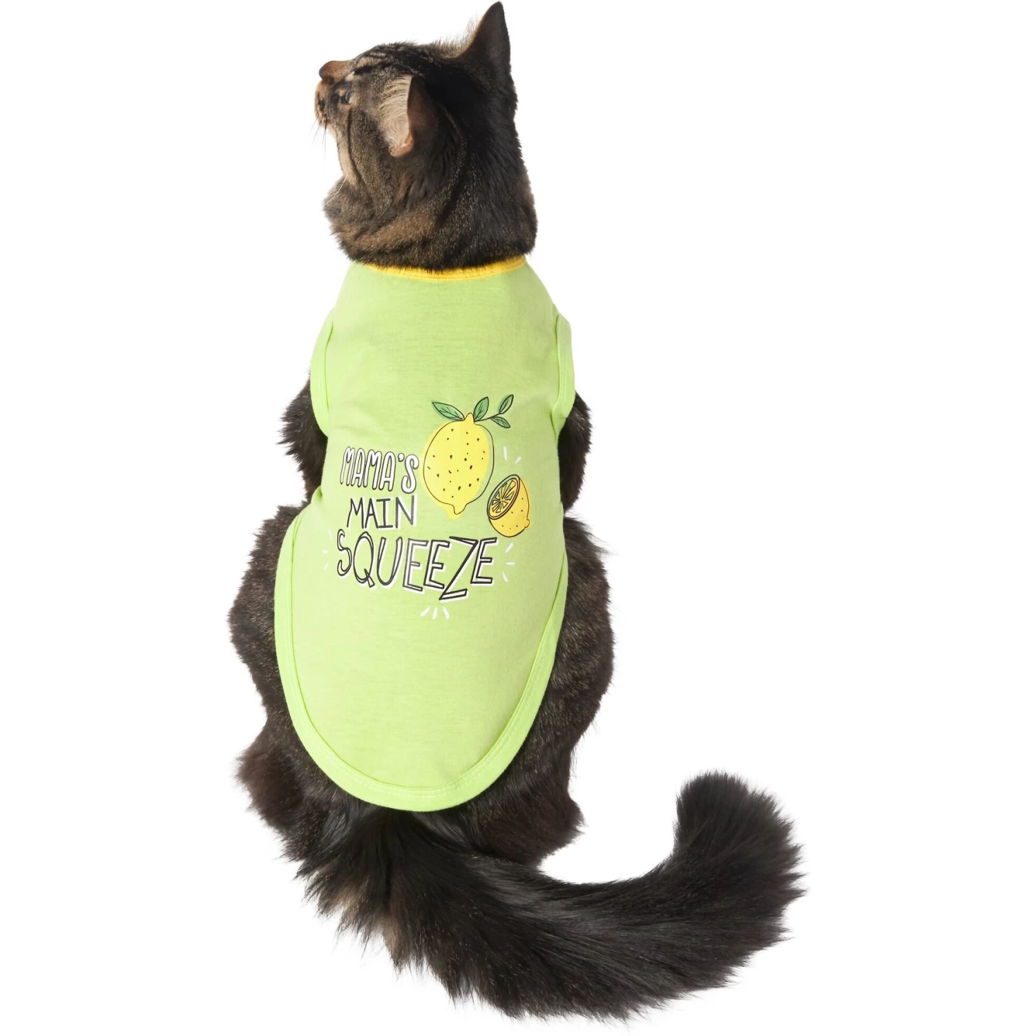 Frisco Mama's Main Squeeze Dog & Cat T-Shirt - Image 3
