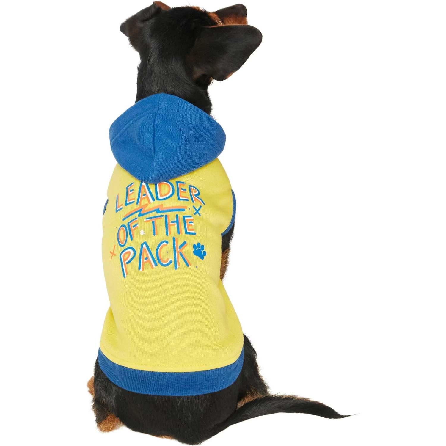 Frisco Leader Of The Pack Dog & Cat Hoodie - Image 3