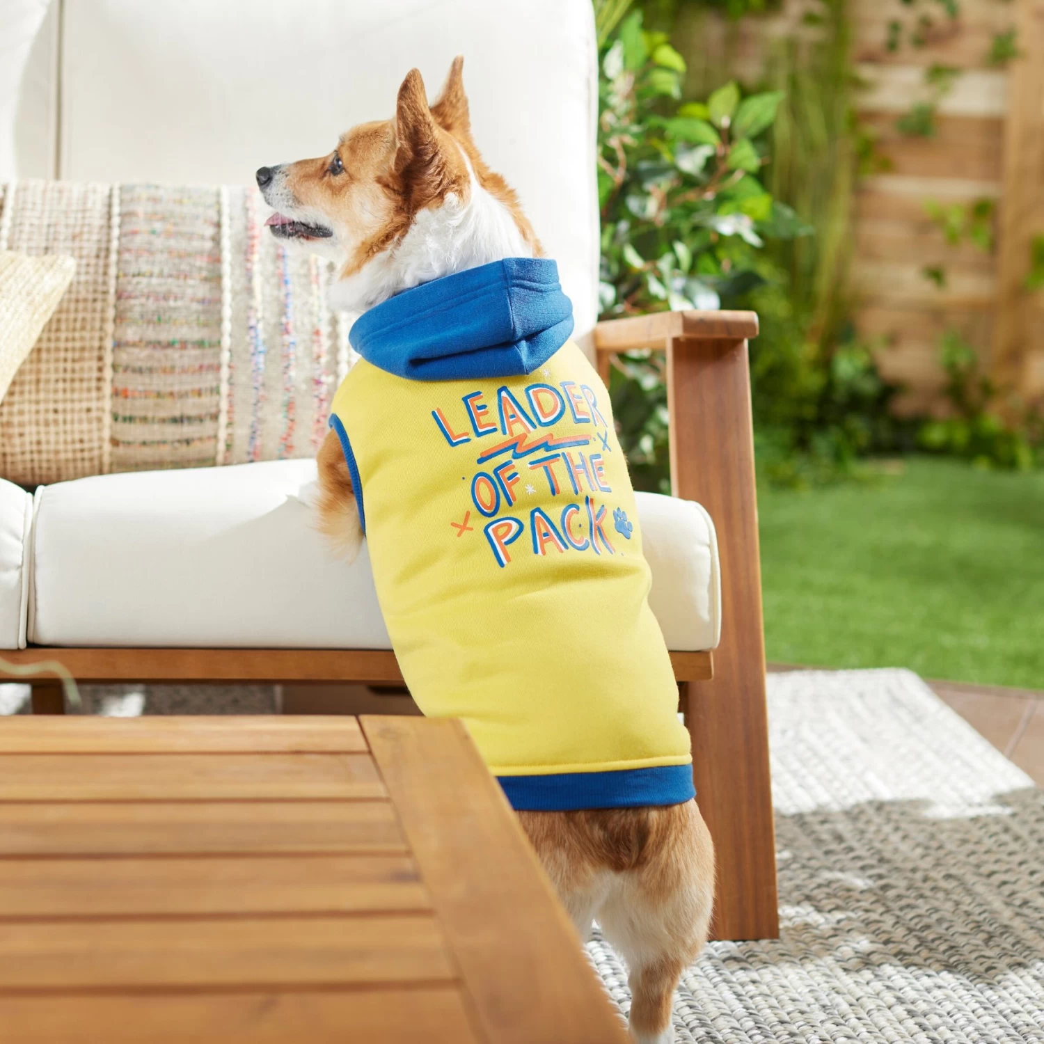 Frisco Leader Of The Pack Dog & Cat Hoodie - Image 7
