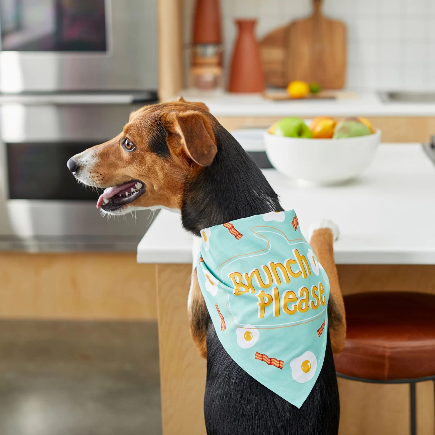 Frisco Brunch Please Dog & Cat Bandana - Image 6