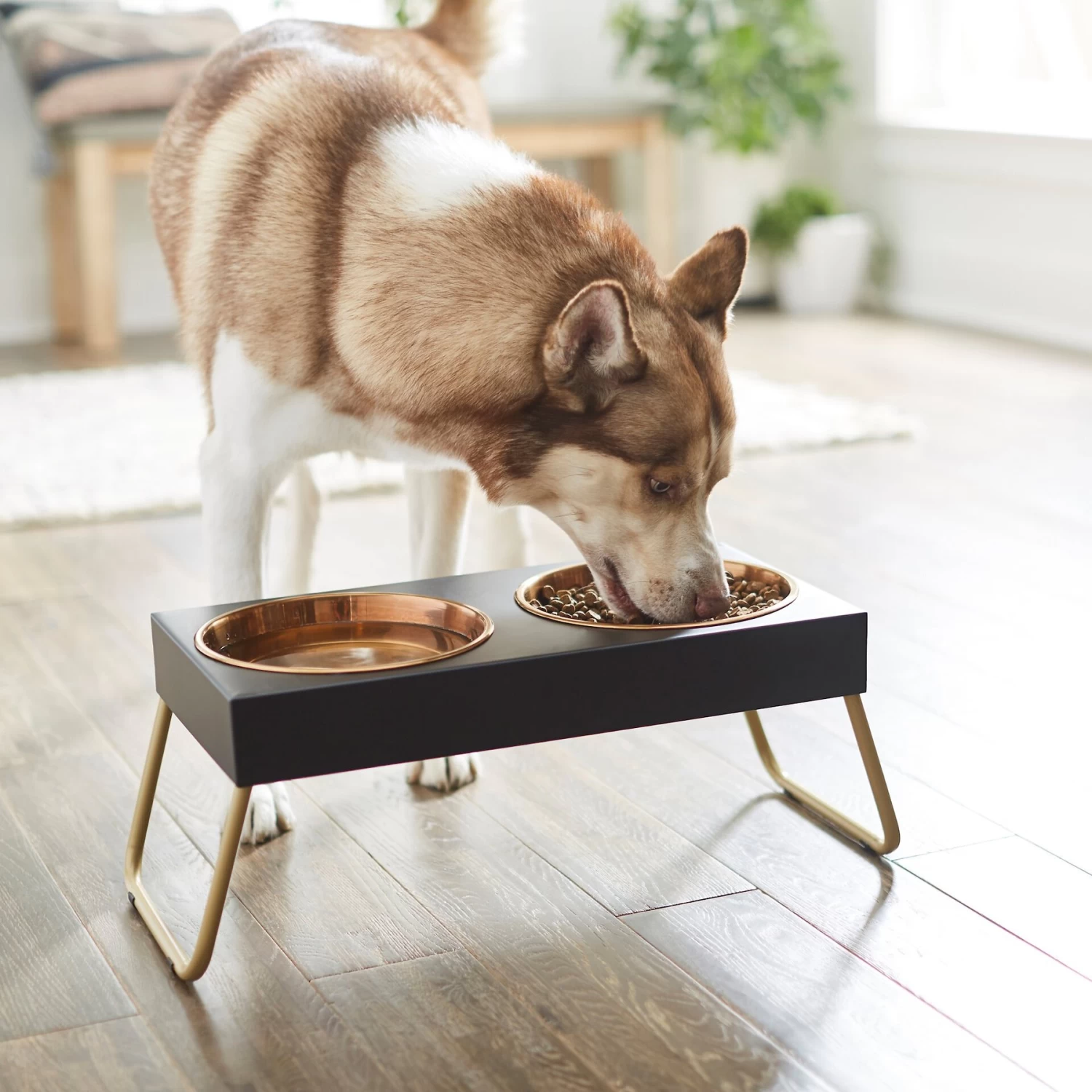 Frisco Copper Stainless Steel Elevated Foldable Double Dog & Cat Bowls - Image 3