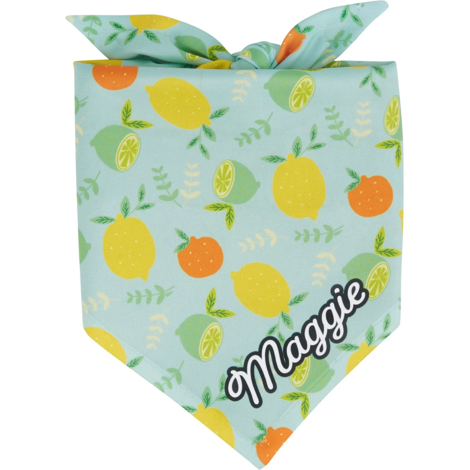 Frisco Citrus Personalized Dog & Cat Bandana