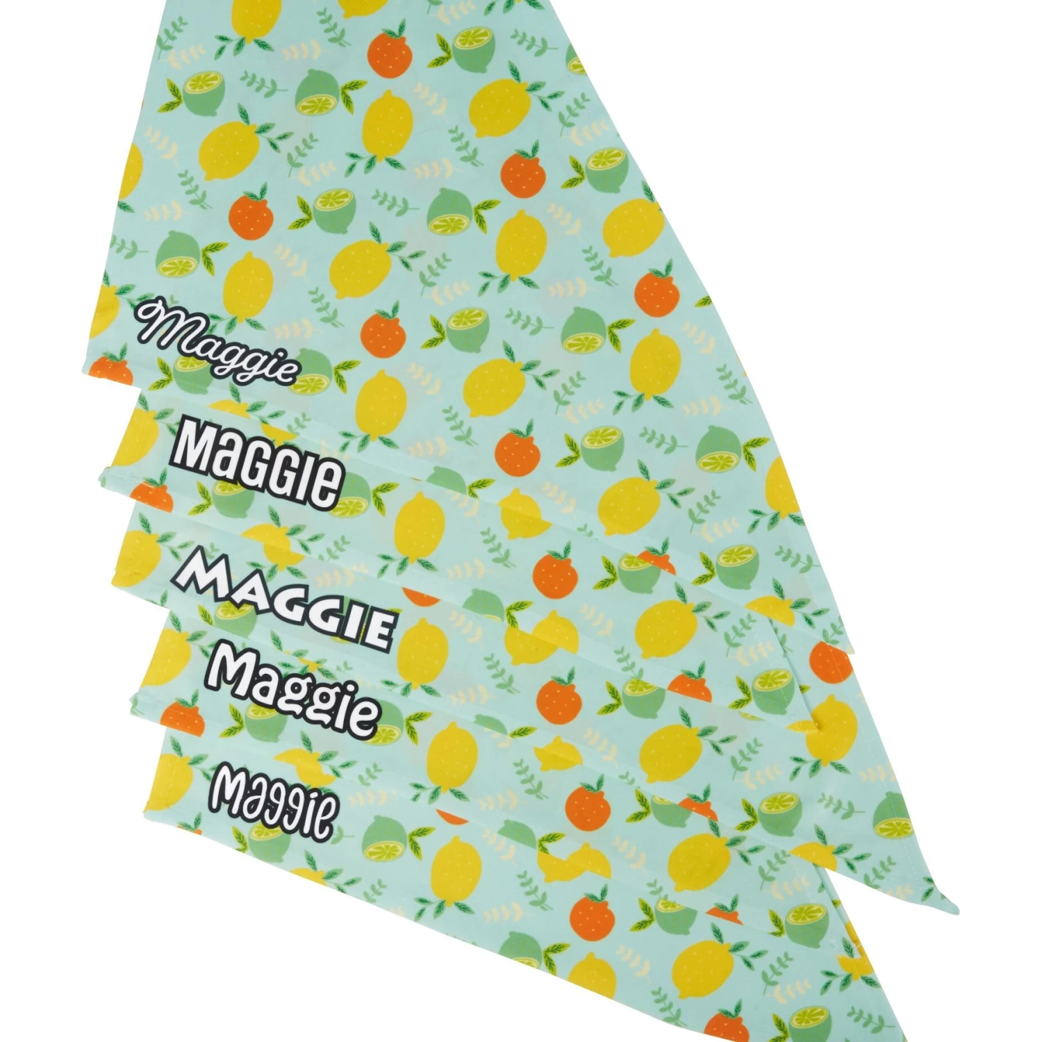 Frisco Citrus Personalized Dog & Cat Bandana - Image 5