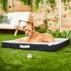 Frisco Indoor/Outdoor Arrow Print Pillow Dog Bed W/Removable Cover