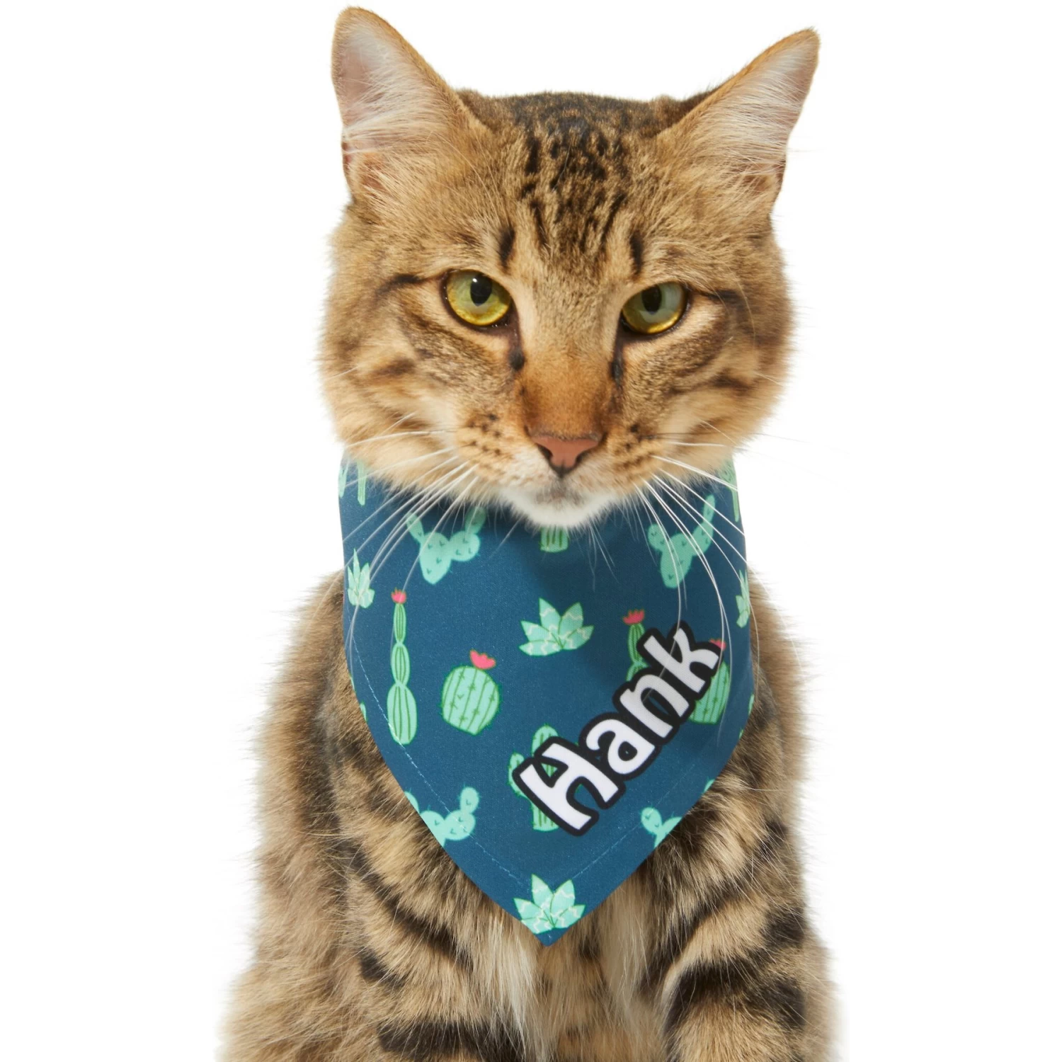 Frisco Cactus Personalized Dog & Cat Bandana - Image 8