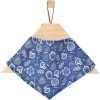 Frisco Fall Vibes Dog & Cat Bandana
