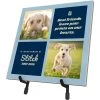 Frisco Personalized "Best Friends" Memorial Ceramic Photo Tile With Stand, 8" X 10"