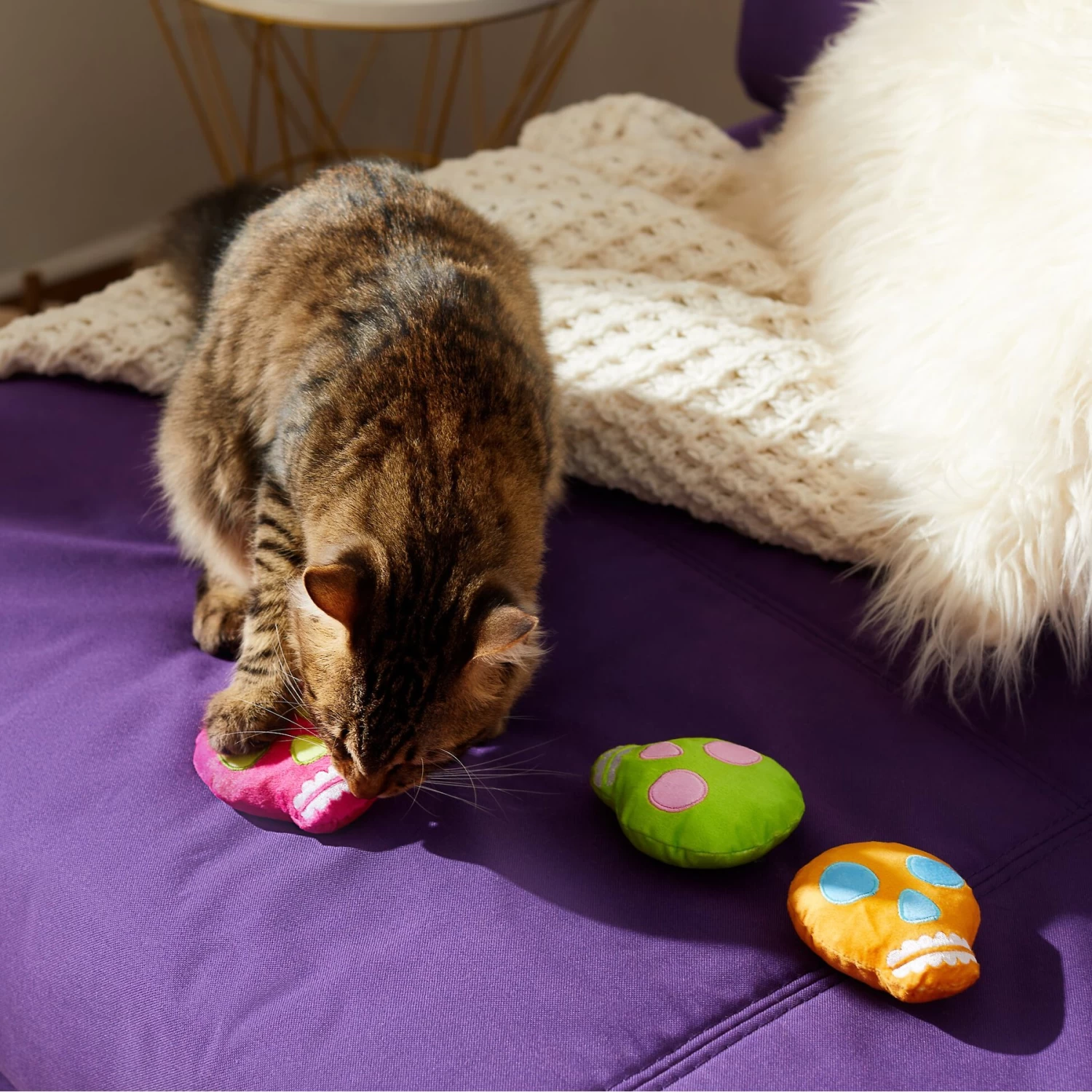 Frisco Colorful Skulls Plush Cat Toy With Catnip, 3 Count - Image 4