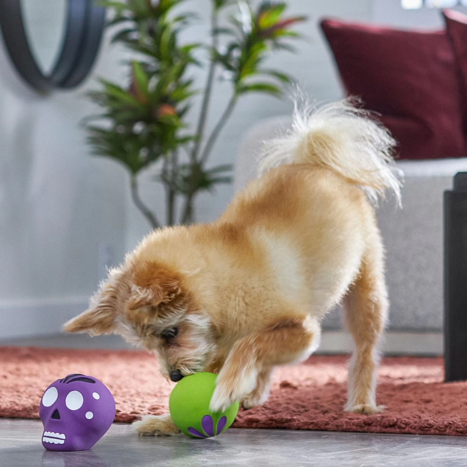 Frisco Halloween Sugar Skulls Latex Squeaky Dog Toy - Image 3