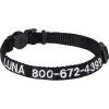 Frisco Nylon Personalized Breakaway Cat Collar With Bell