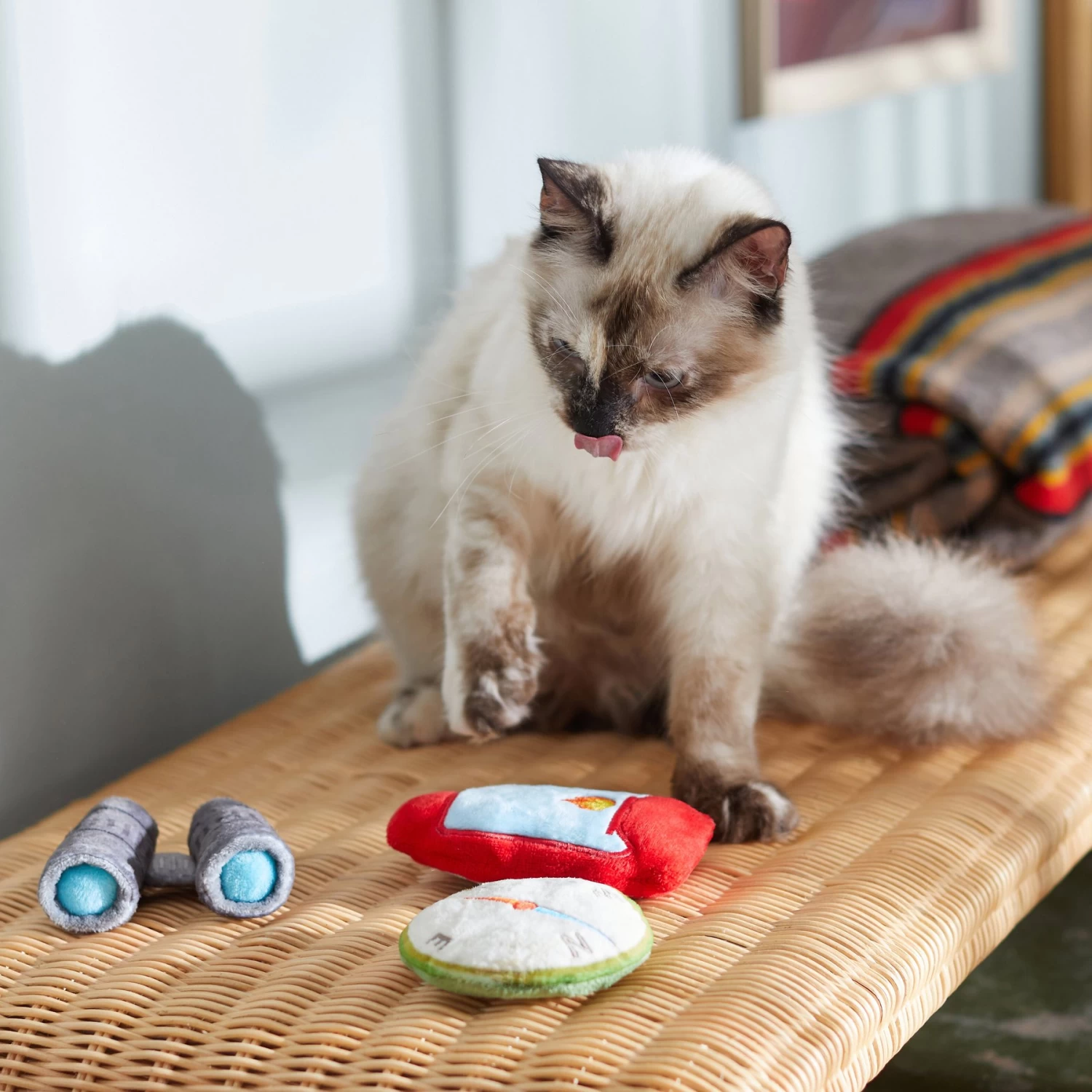 Frisco Camping Compass & Lantern Plush Cat Toy With Catnip, 2 Count - Image 3