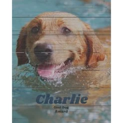 Frisco Personalized "Classic Photo" Rustic Wood Wall Decor, 16" X 20"