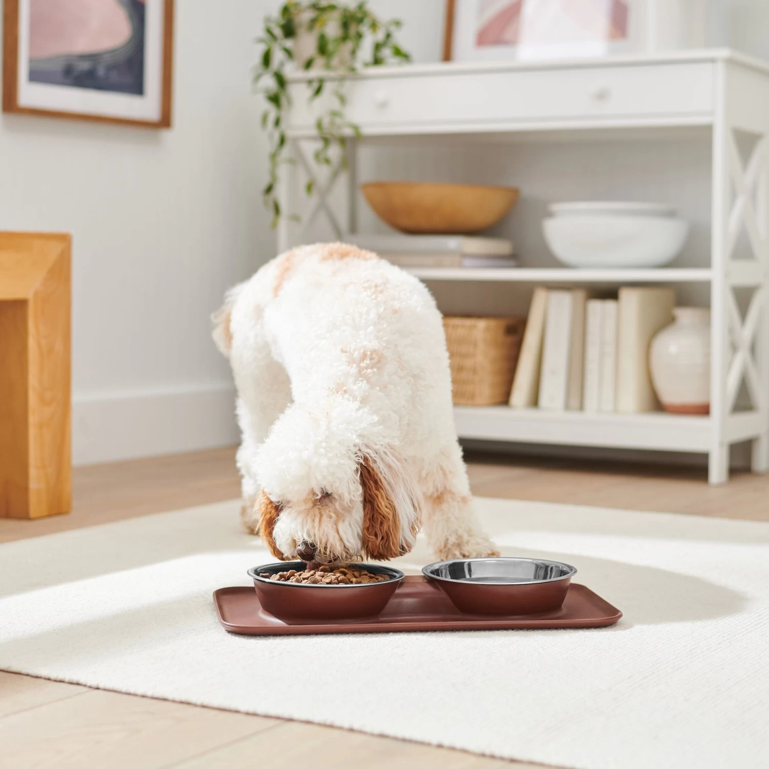 Frisco Silicone Stainless Steel Double Diner Dog & Cat Bowl, Brown - Image 3