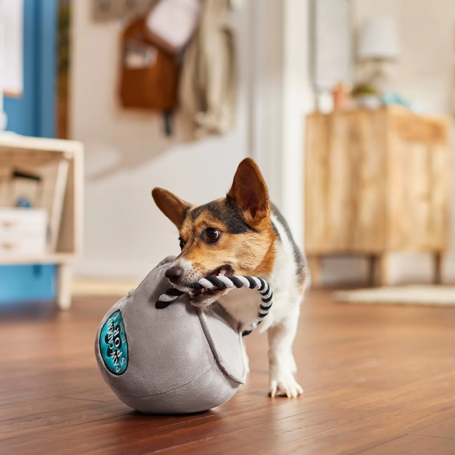 Frisco Football Helmet Plush With Rope Squeaky Dog Toy - Image 3