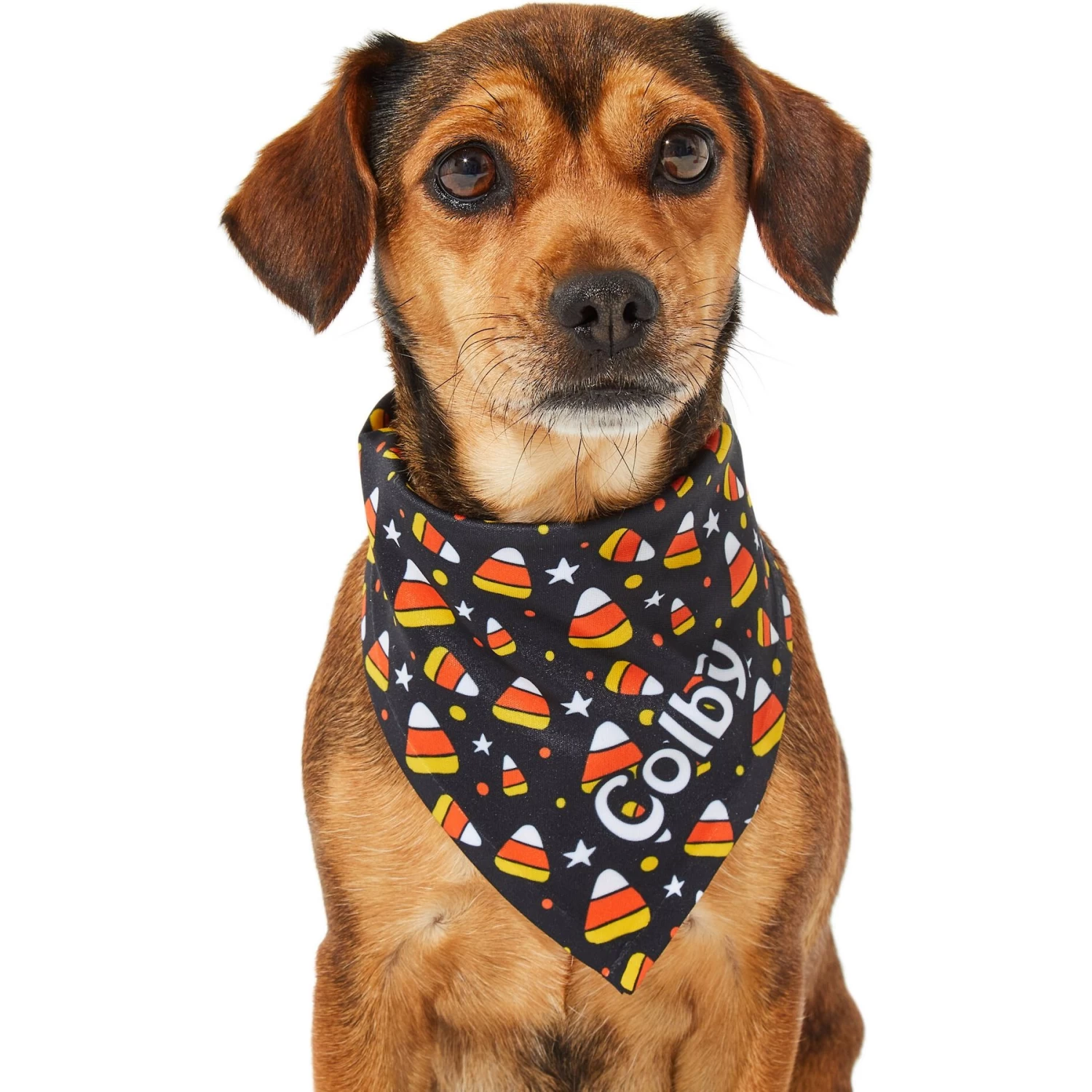 Frisco Candy Corn Personalized Dog & Cat Bandana - Image 7