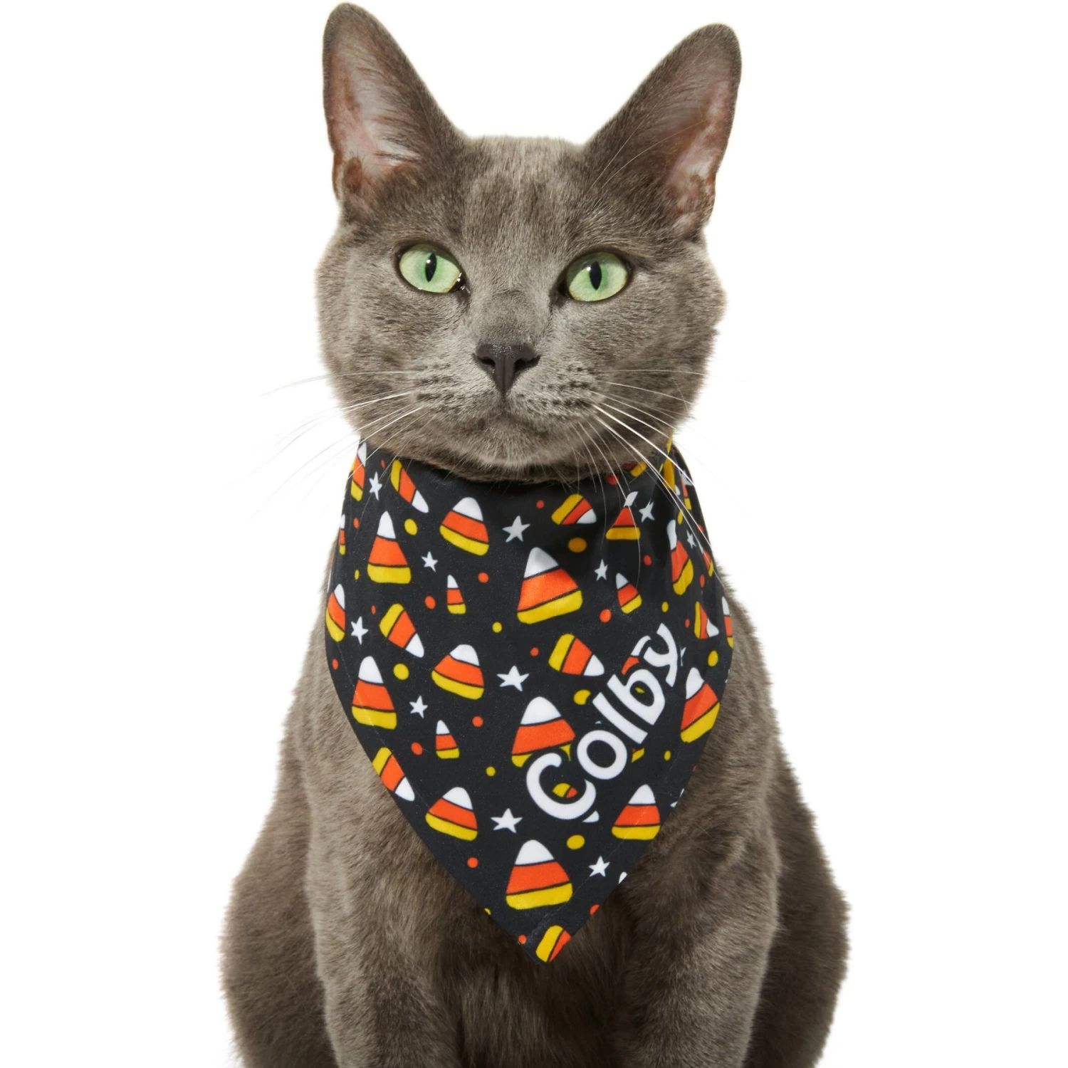Frisco Candy Corn Personalized Dog & Cat Bandana - Image 8