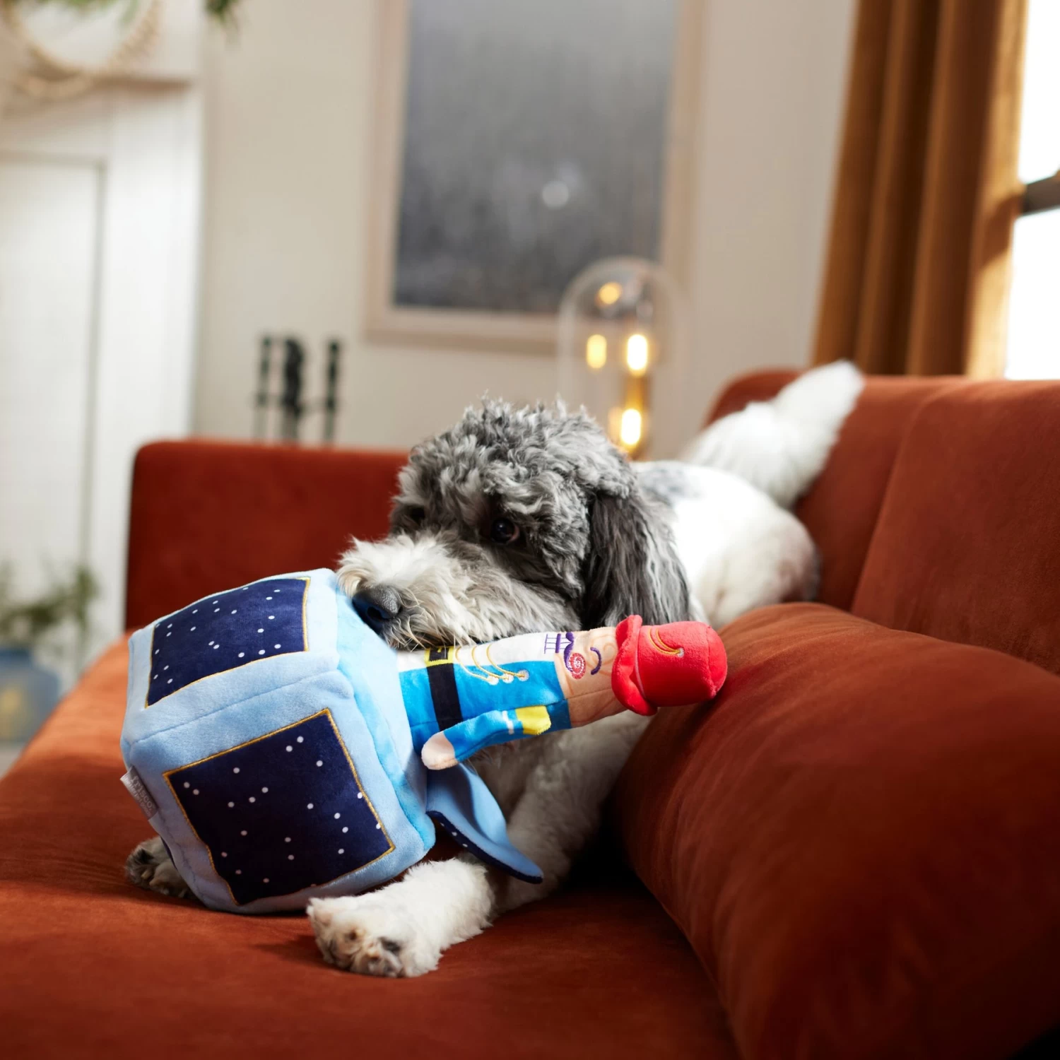 Frisco Nutcracker-in-a-Box Plush Squeaky Dog Toy - Image 3