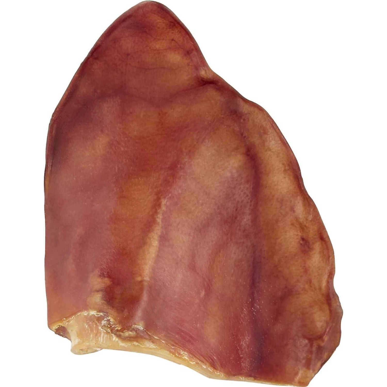 Frisco Fetch Squeaky TPR Ball Dog Toy & Bones & Chews Pig Ear Chews Dog Treats - Image 5