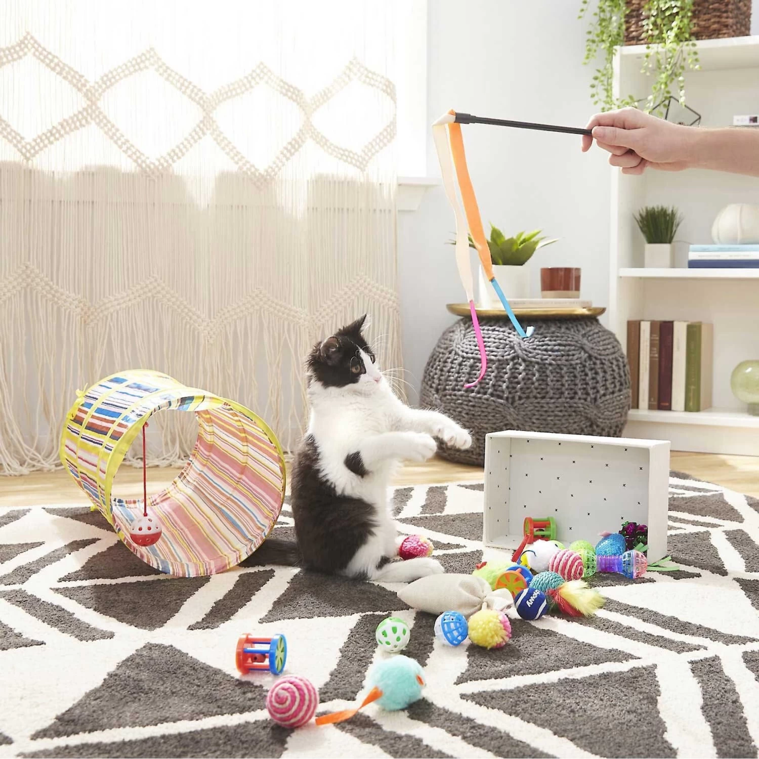 Sheba Meaty Tender Sticks Salmon Flavored Soft Adult Cat Treats & Frisco Plush, Teaser, Ball & Tunnel Variety Pack Cat Toy With Catnip - Image 5