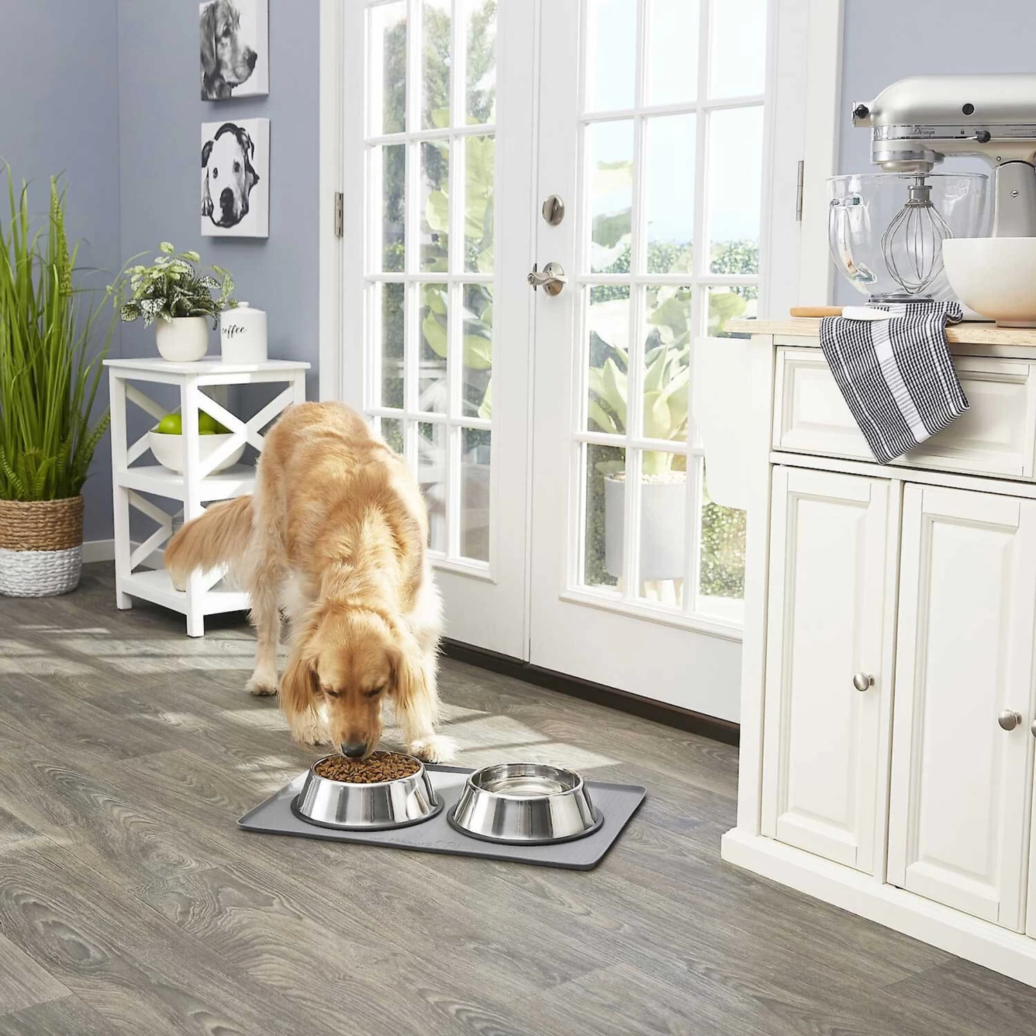 Frisco Fold & Carry Double Door Collapsible Wire Dog Crate & Mat Kit & Frisco Stainless Steel Bowl - Image 8