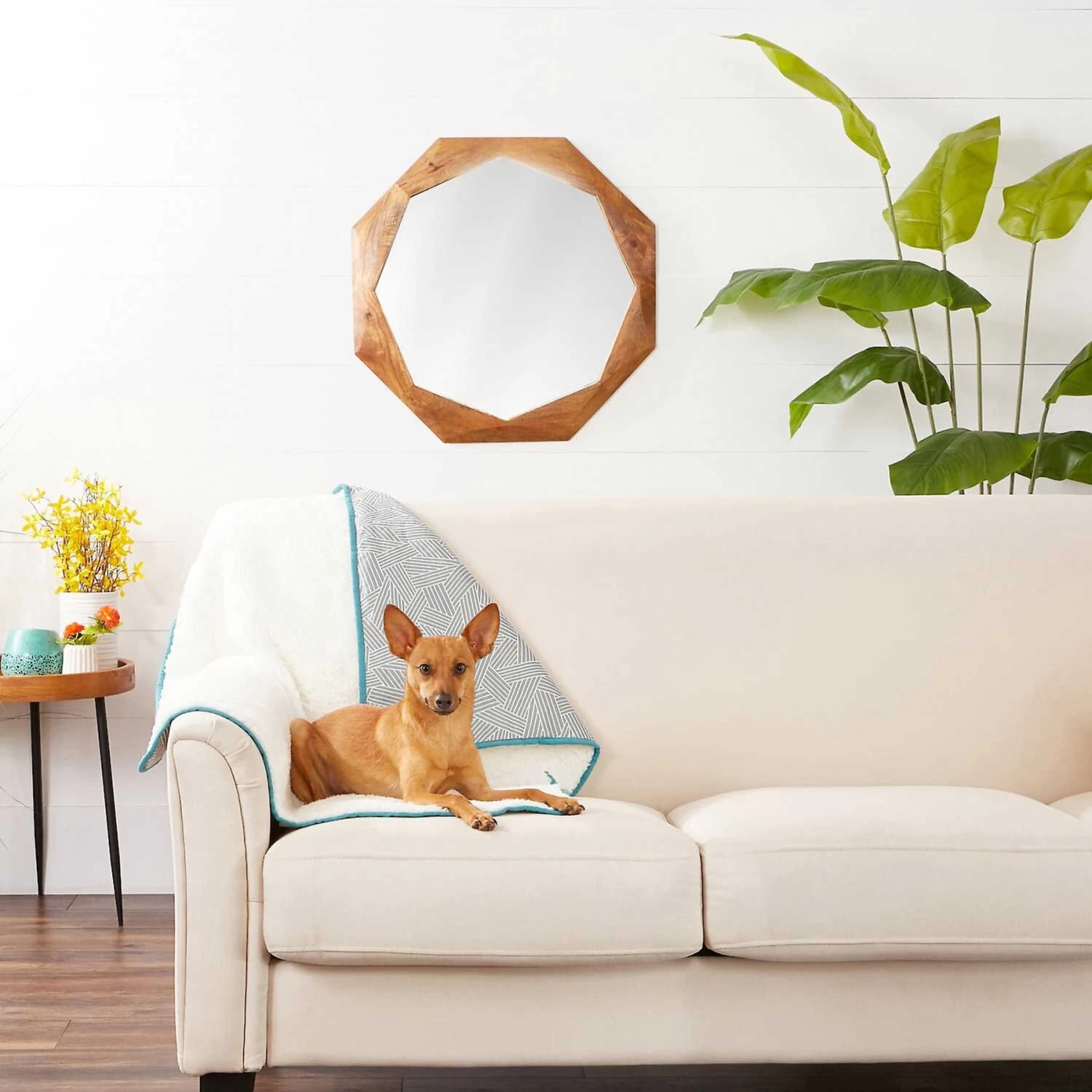 Frisco Sherpa Dog & Cat Blanket & Frisco Sherpa Hexagon Bolster Cat & Dog Bed - Image 4