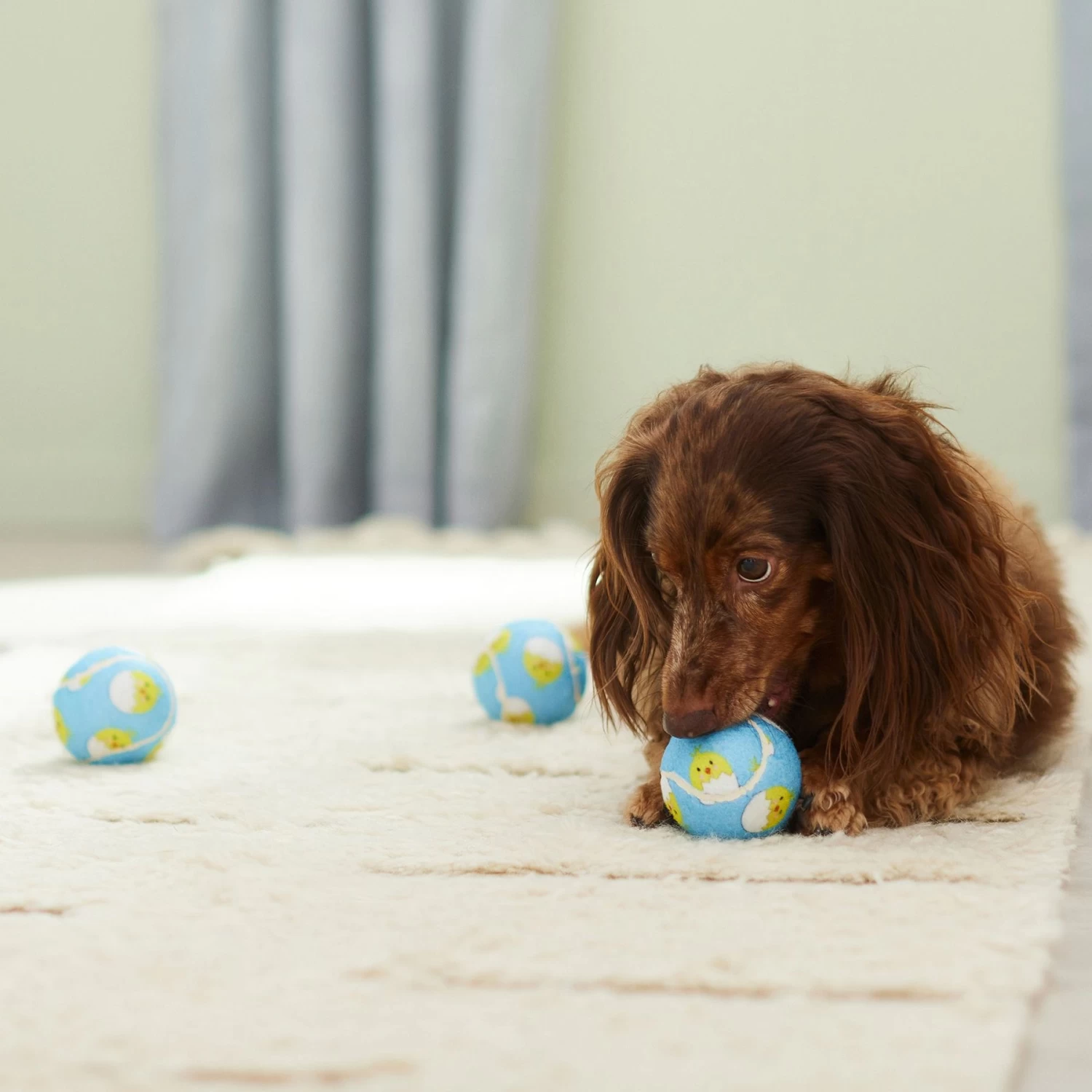 Frisco Easter Fetch Squeaky Tennis Ball Dog Toy, Medium, 3 Count - Image 4