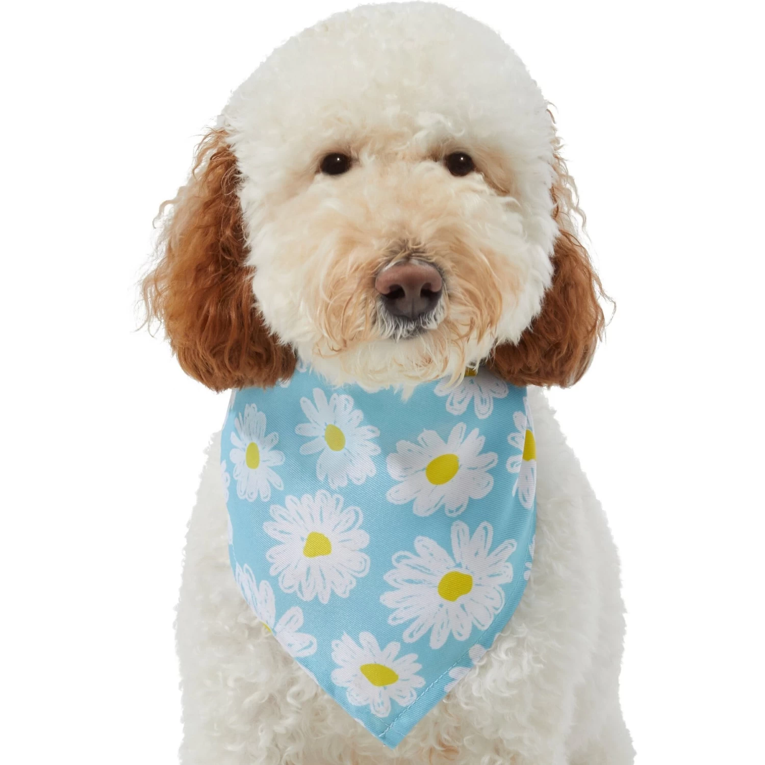Frisco Daisy Dog & Cat Bandana - Image 4