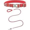 Frisco Outdoor Comfort Print Nylon Padded Dog Collar & Frisco Outdoor Ultra Reflective Rope Leash With Padded Handle
