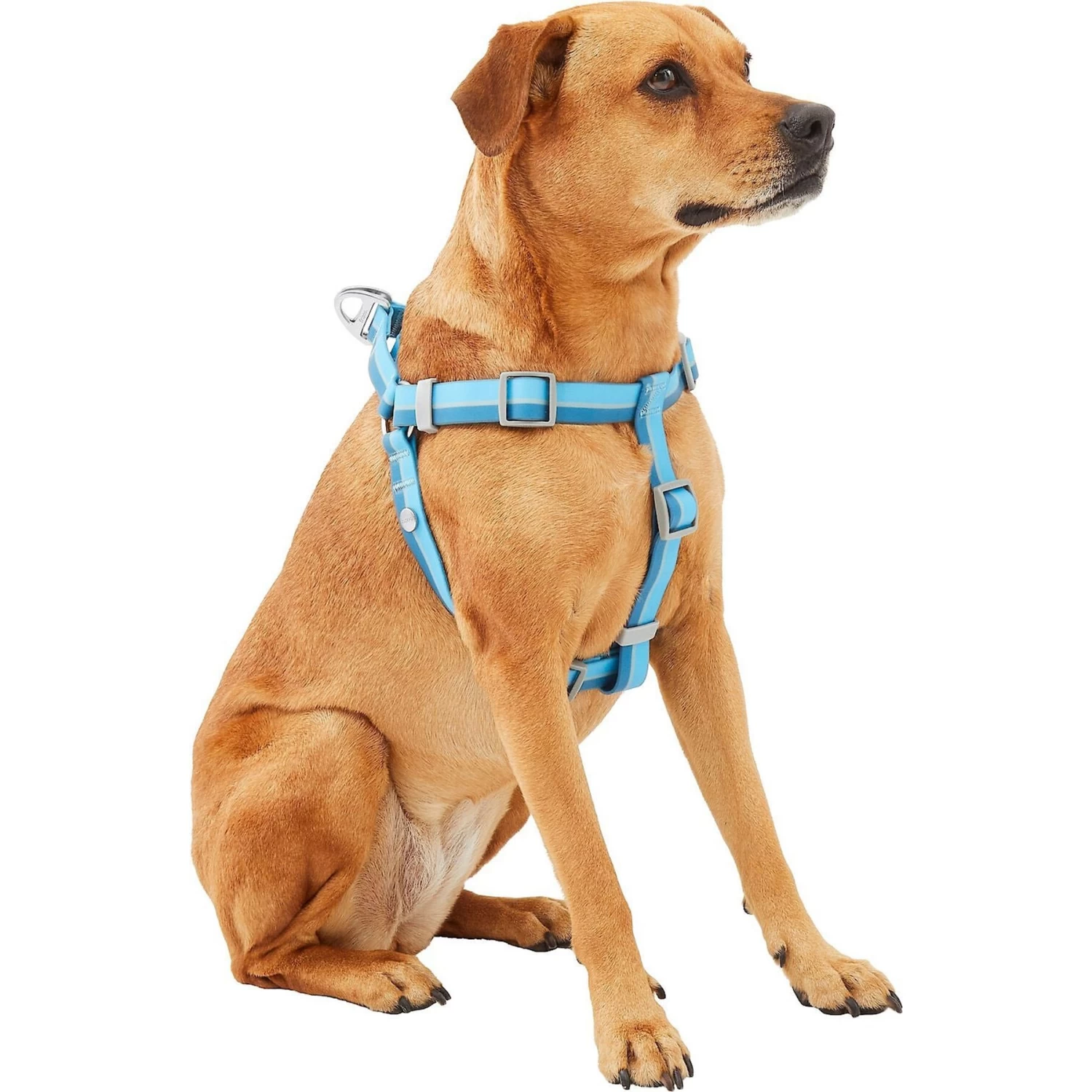 Frisco Outdoor Two Tone Waterproof Stinkproof PVC Dog Harness & Frisco Outdoor Two Tone Waterproof Stinkproof PVC Dog Harness - Image 3