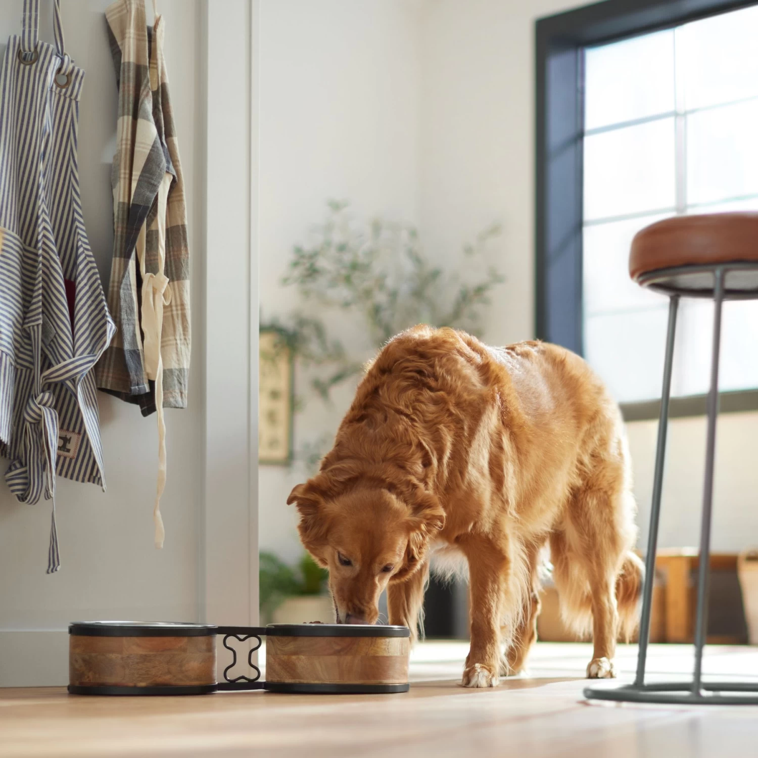 Frisco Premium Elevated Bone Design Stainless Steel Double Diner Dog & Cat Bowl - Image 3