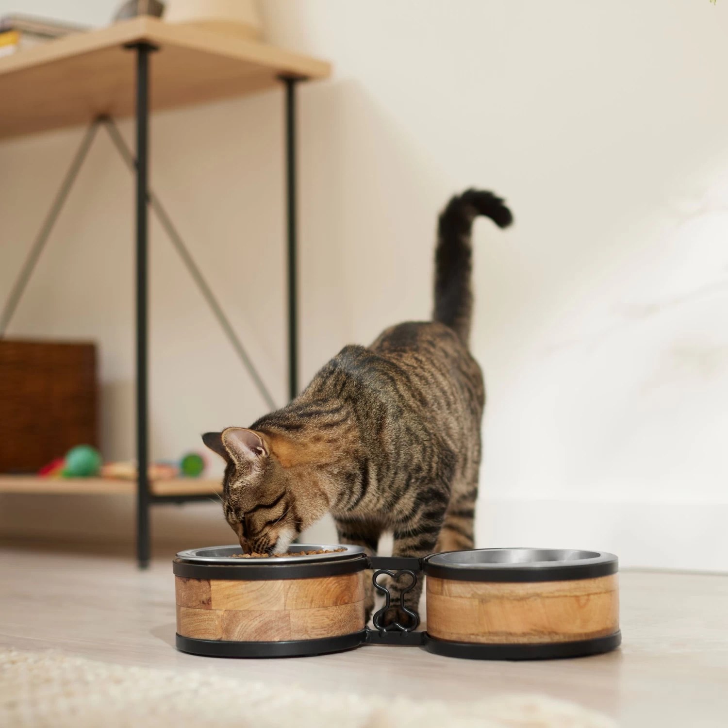 Frisco Premium Elevated Bone Design Stainless Steel Double Diner Dog & Cat Bowl - Image 4