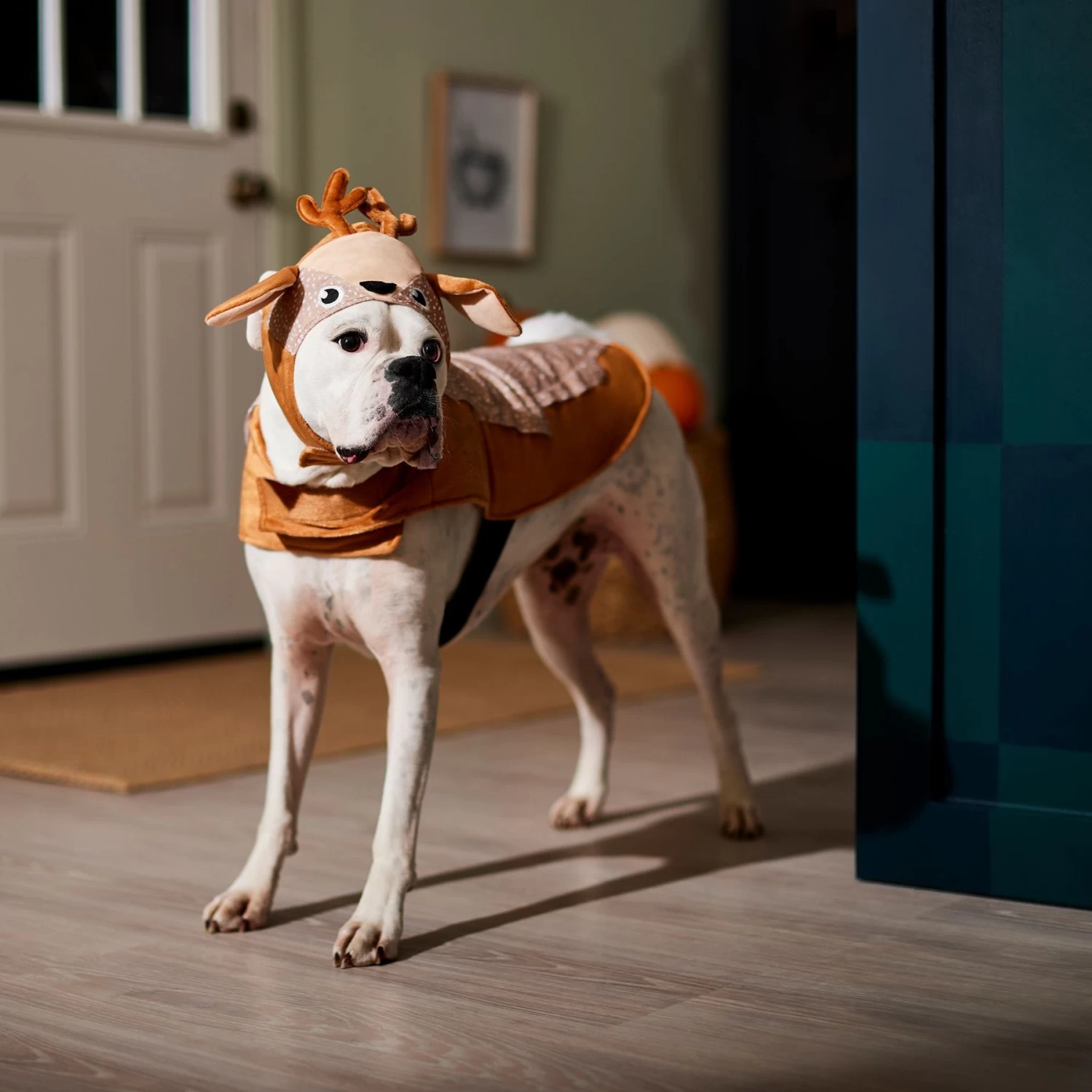 Frisco Deer Dog & Cat Costume - Image 6