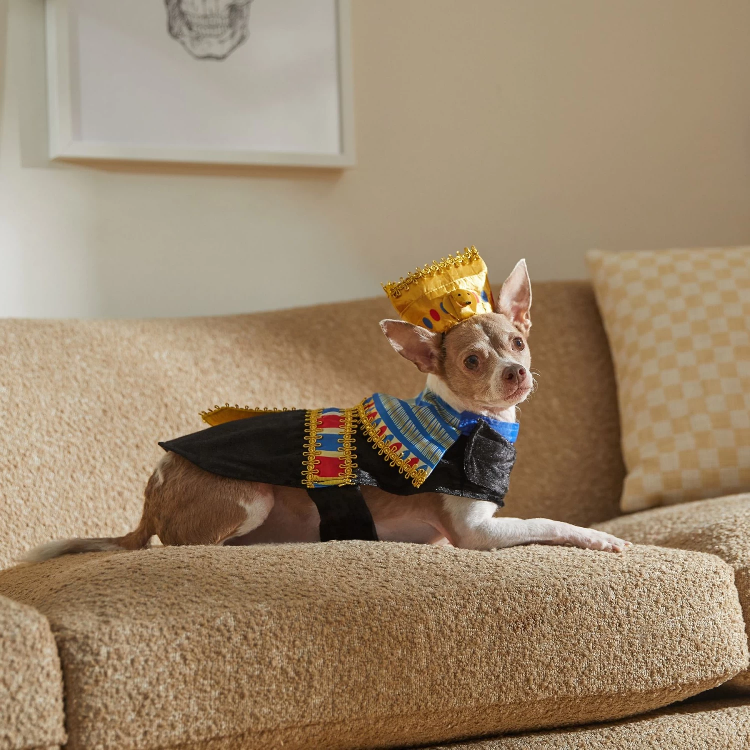 Frisco Royal Pharoah Dog & Cat Costume - Image 7