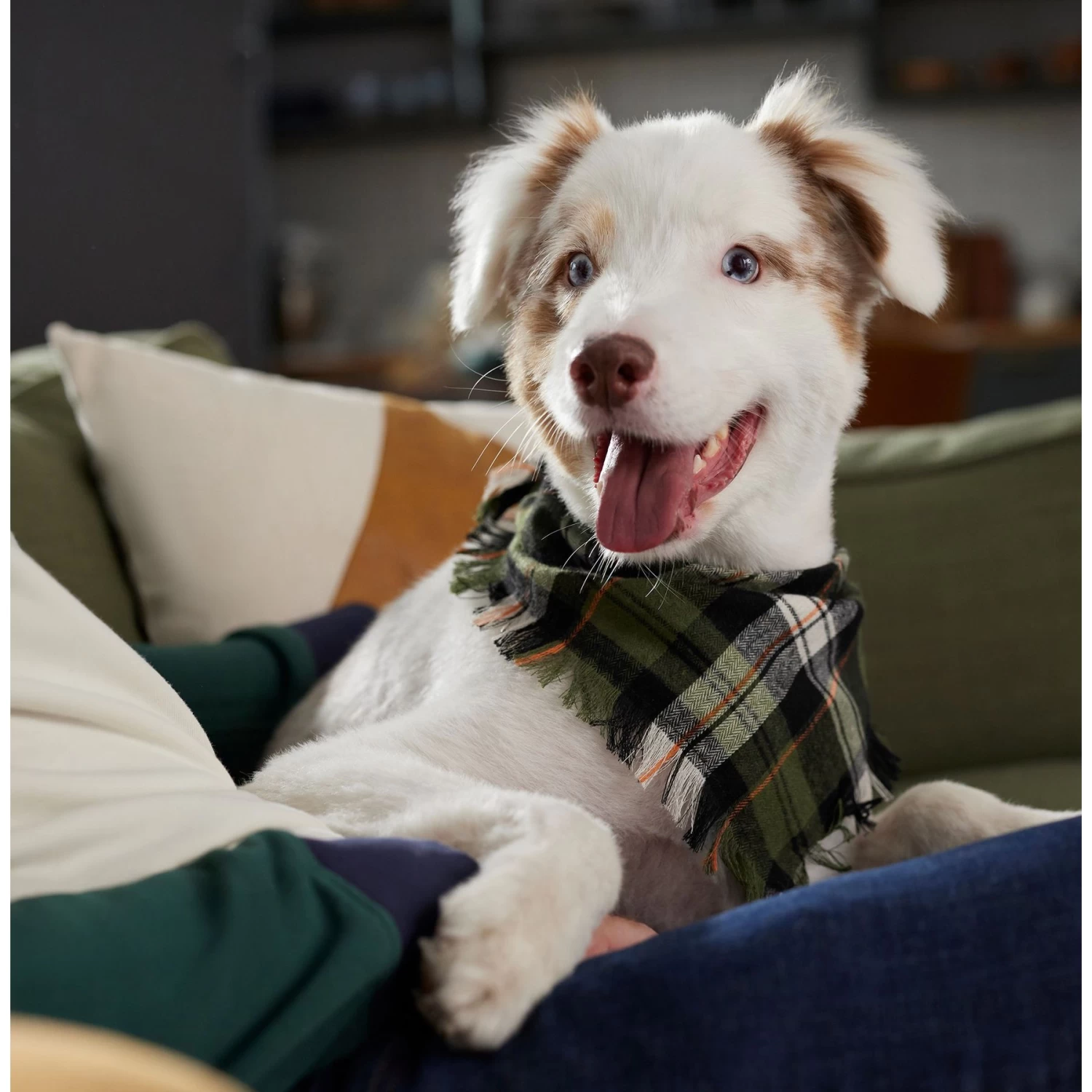 Frisco Plaid Fringe Dog & Cat Bandana - Image 7