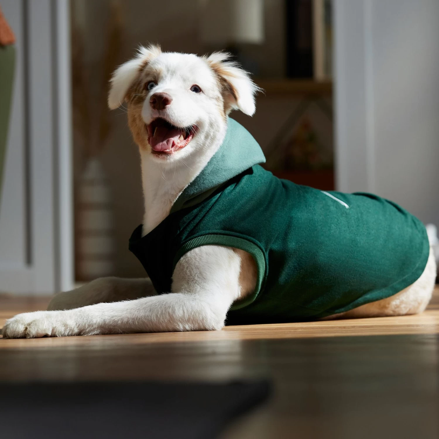 Frisco Lightweight Classic Dog & Cat Coat - Image 6