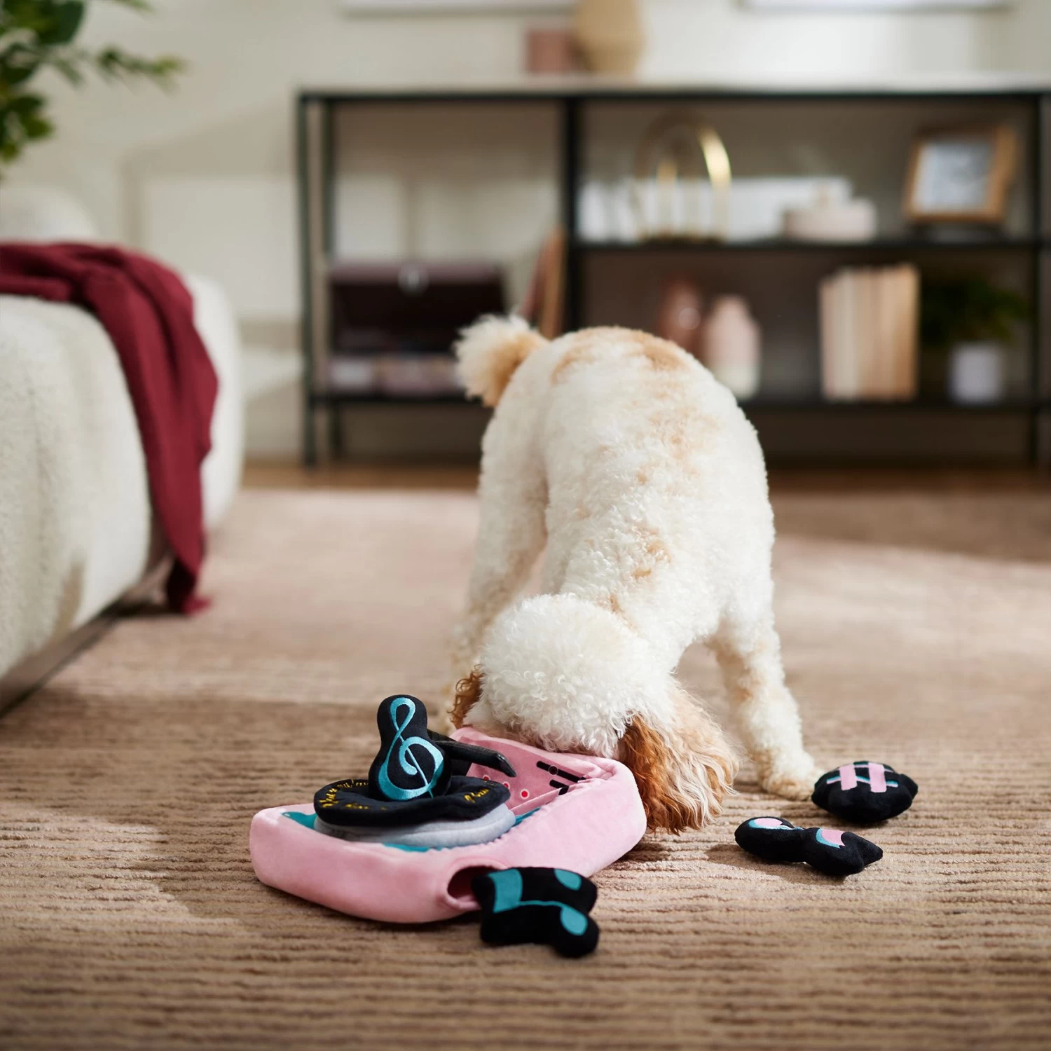 Frisco Valentine Love Song Record Player Hide & Seek Puzzle Plush Squeaky Dog Toy - Image 4