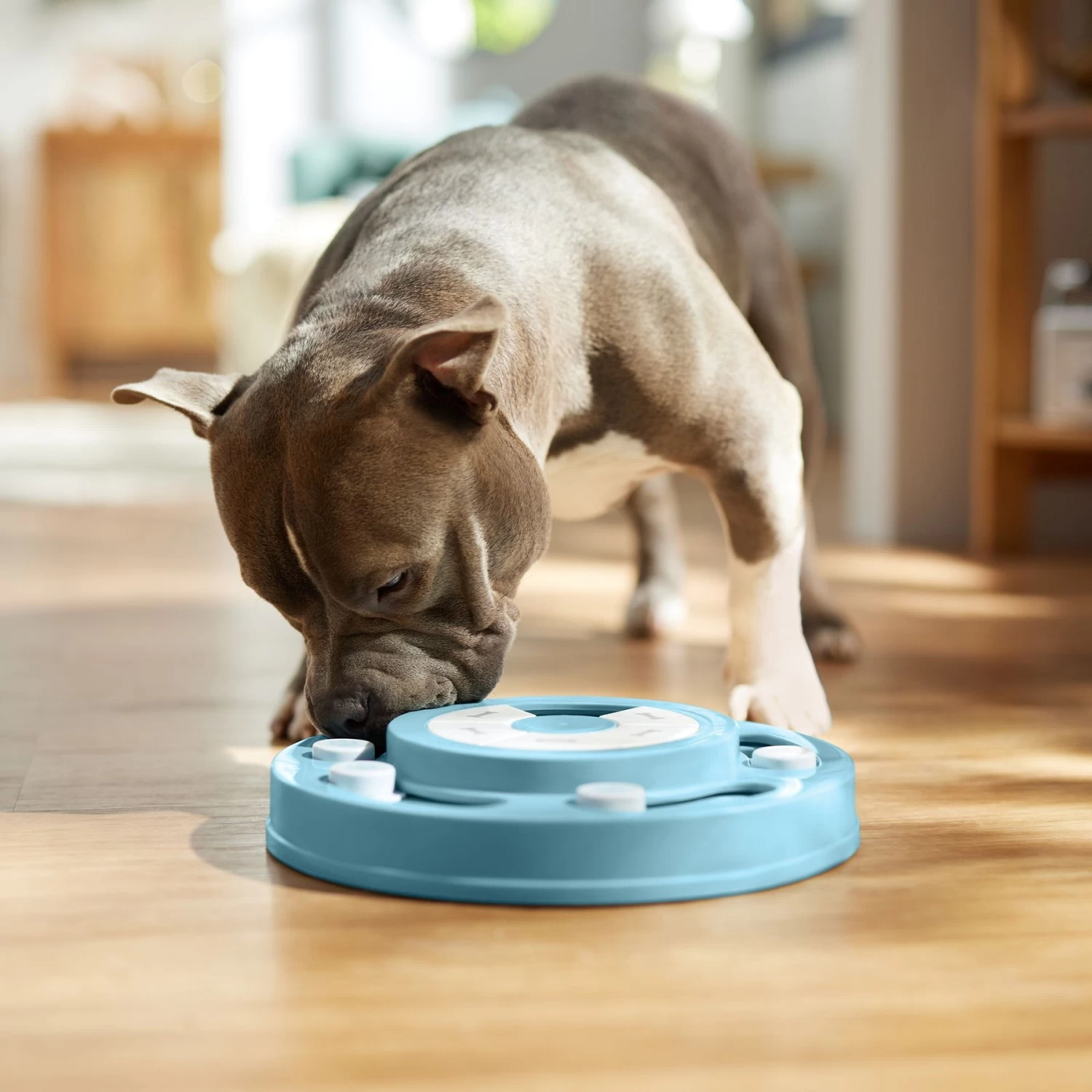 Frisco Two Tier Interactive Puzzle Dog Toy, Easy - Image 6