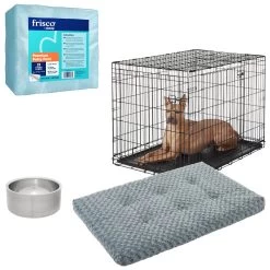 Frisco Swirl Dog Crate Mat + 3 Items