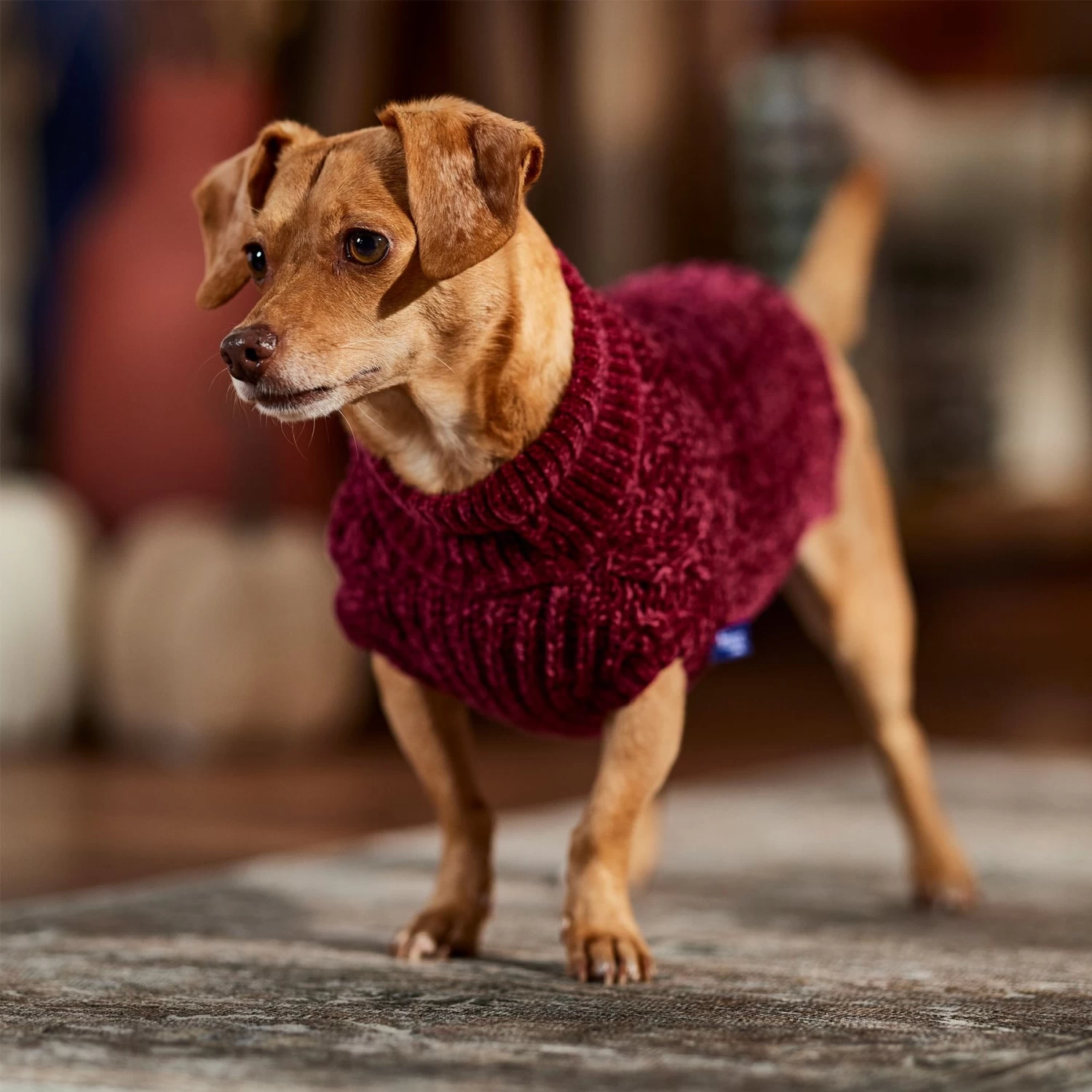 Frisco Cozy Textured Chenille Dog & Cat Sweater - Image 7